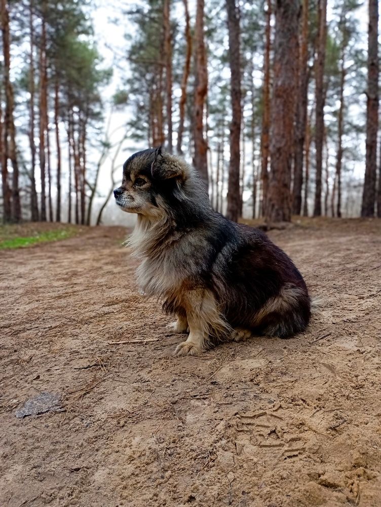 Photo #11634087