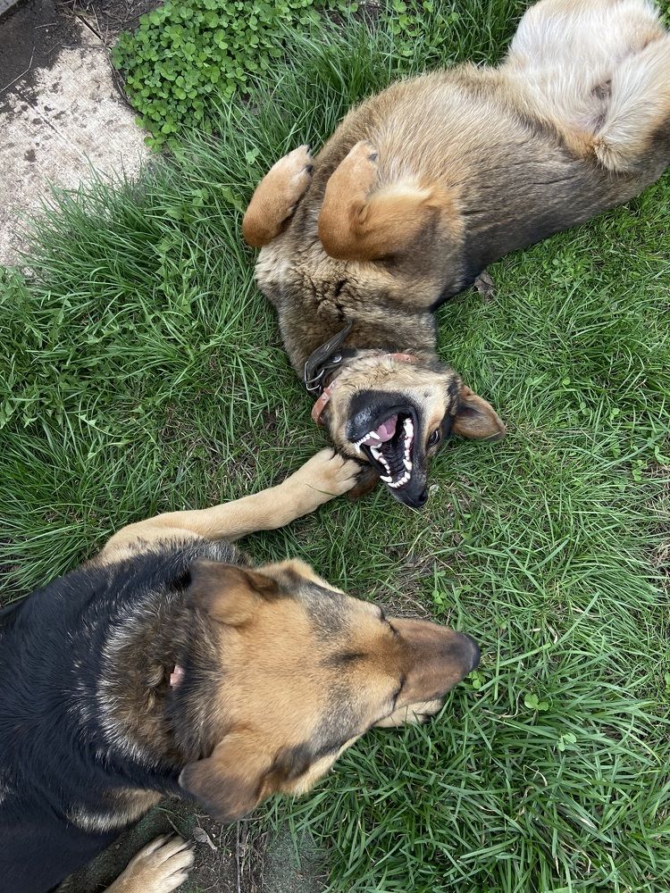 Photograph by Наталья Душакова