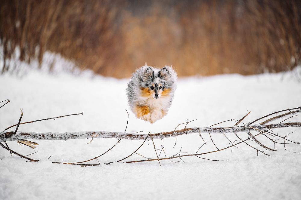 Photograph by Анастасия Глущенко