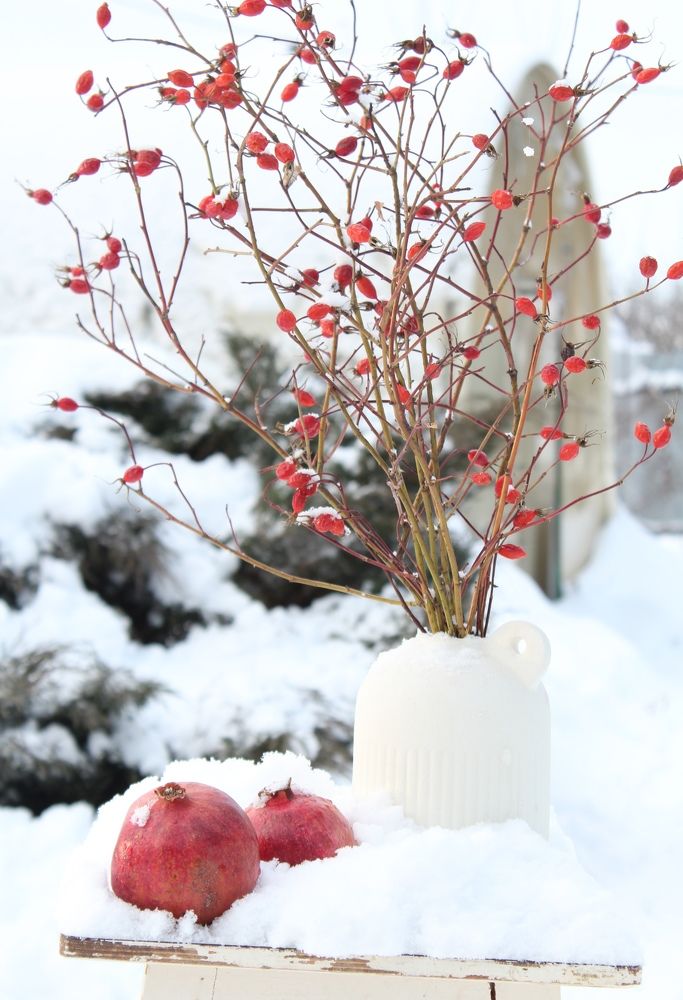 Фотография автора Михайлова Марина