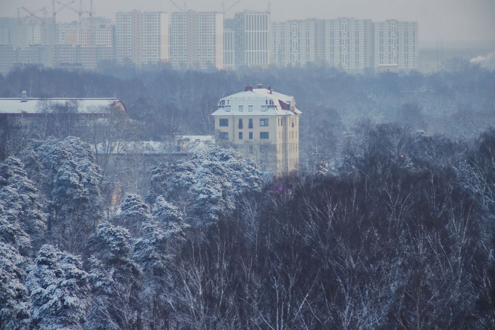 Photograph by Yana Egorova