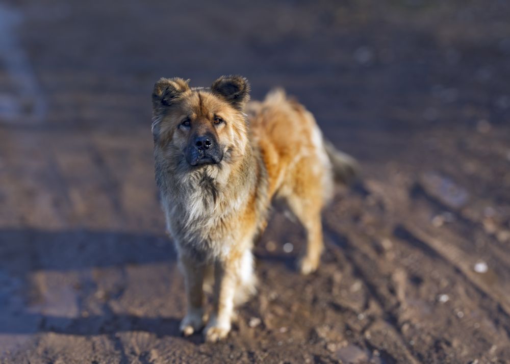 Photograph by Шутов Владимир