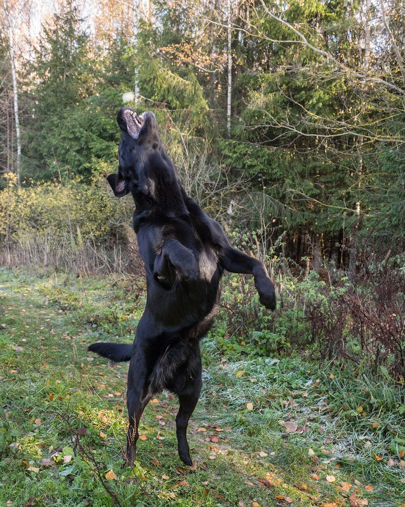 Фотография автора Борис Журавлёв