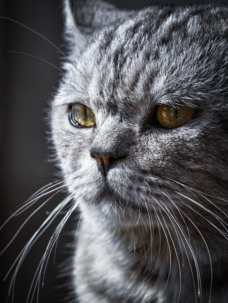 Photograph by Konstantin Martynov