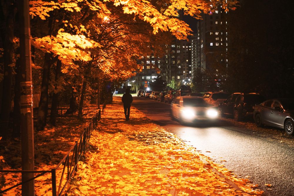 Photograph by Yana Egorova