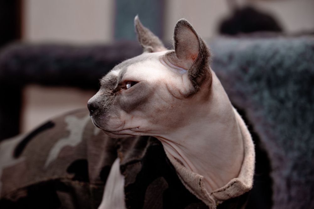 Photograph by Сергей Зимин