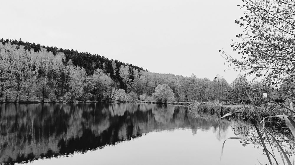 Photograph by Татьяна Пятернёва