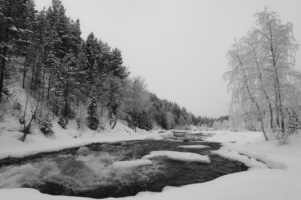 Photograph by Мария Казакова