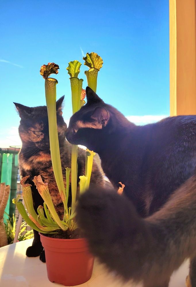 Photograph by claudia