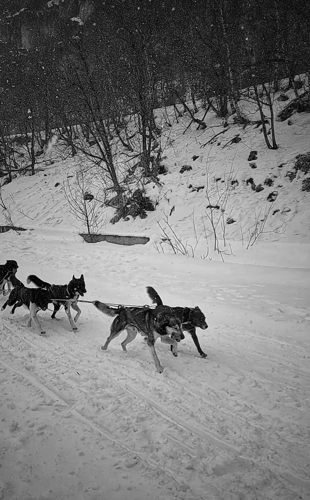 Photograph by Марина Жарикова
