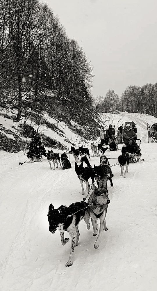 Photograph by Марина Жарикова