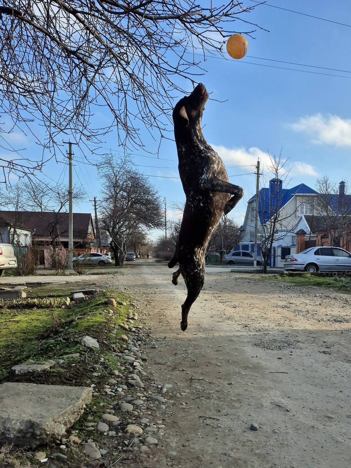 Photo #11634440