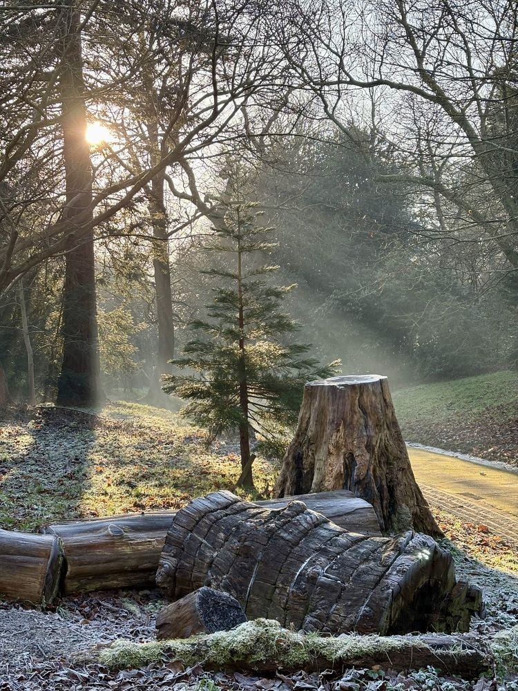 Photograph by Tatiana Serova