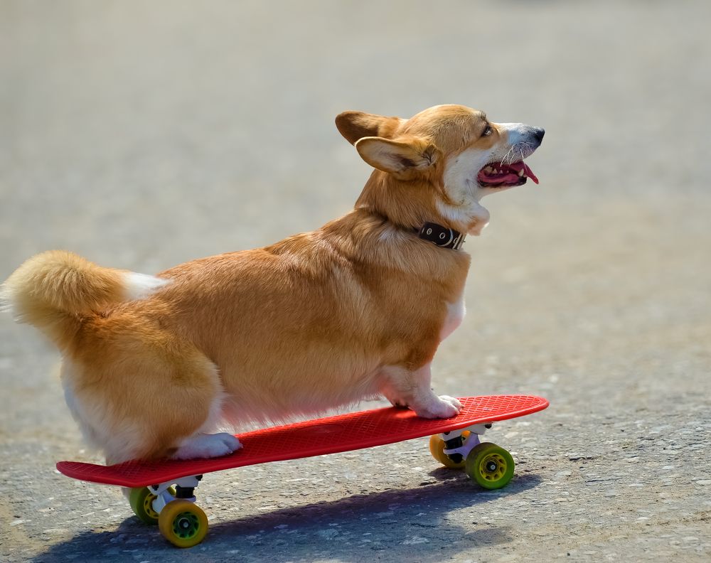 Photograph by БОРИС АНТОНОВ