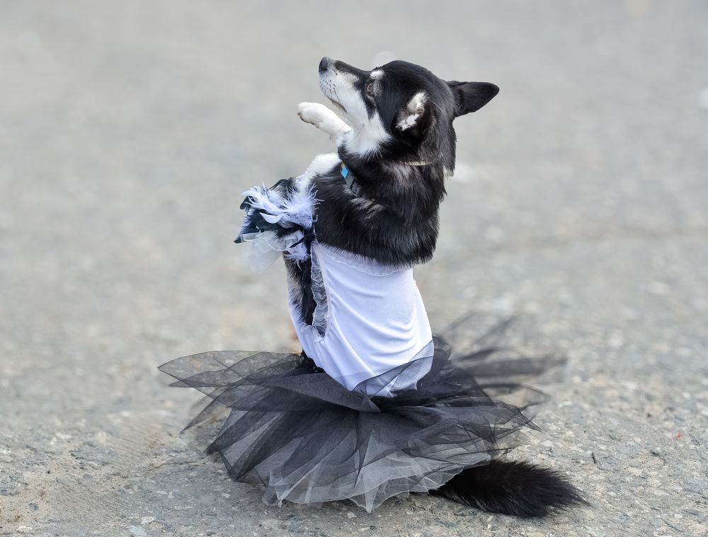 Photograph by БОРИС АНТОНОВ