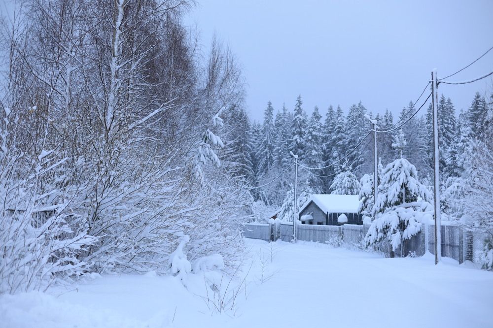 Photograph by Татьяна Пелгонен