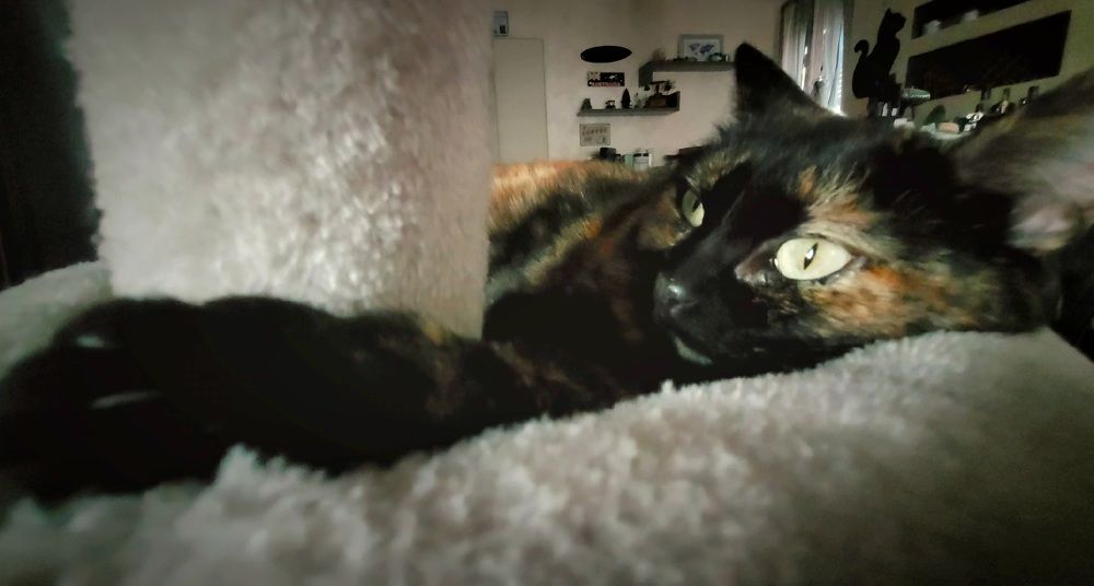 Photograph by claudia