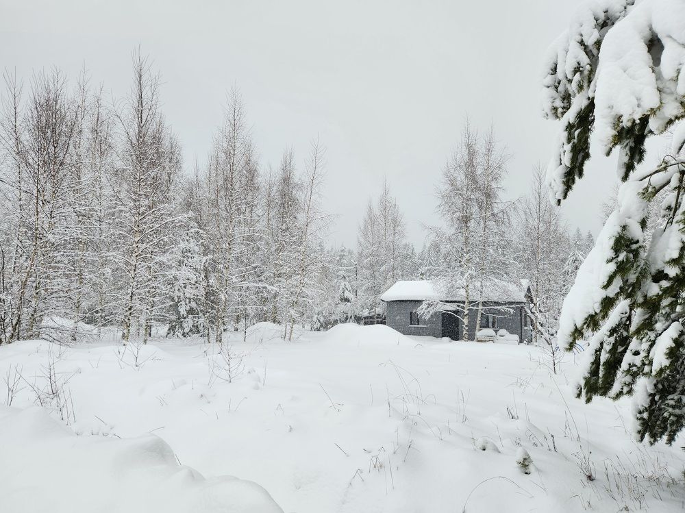 Photograph by Татьяна Пелгонен