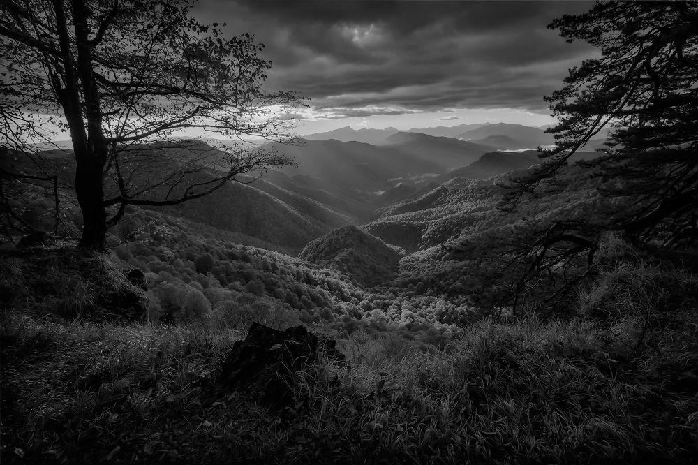 Photograph by Головченко Юрий