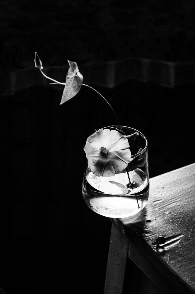 Photograph by Наталия Колтакова