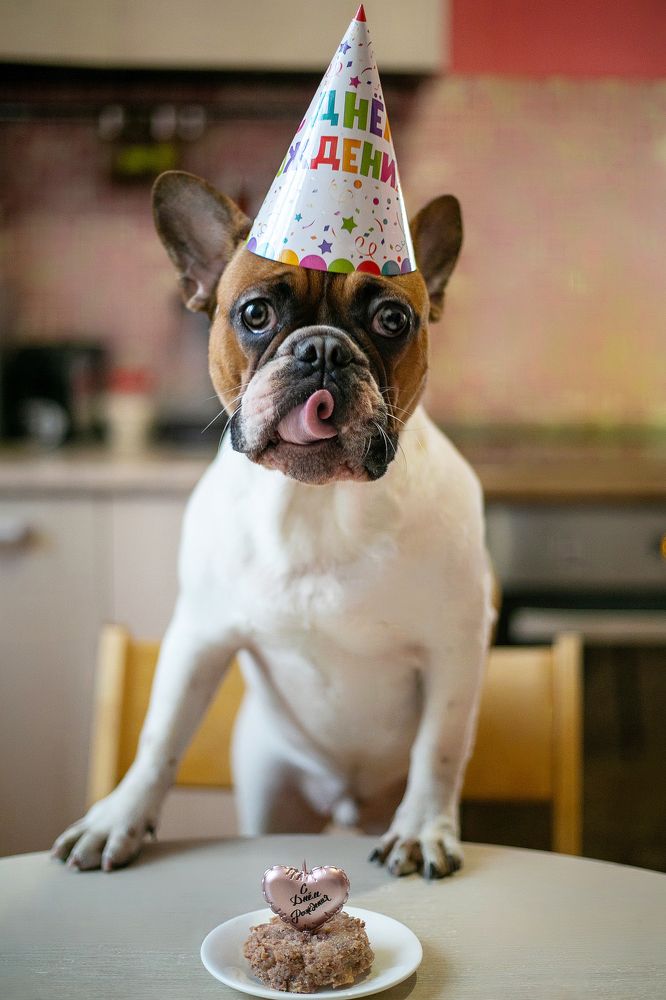 Photograph by Вера Наземкина - Соколова