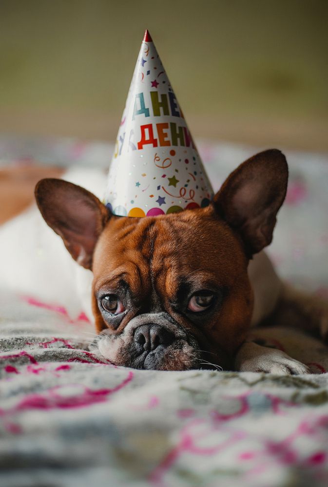 Photograph by Вера Наземкина - Соколова