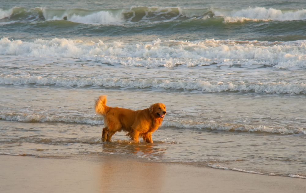 Photograph by Илья