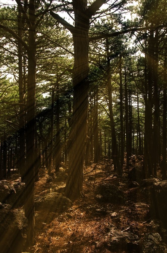 Photograph by Андрей Савёлов