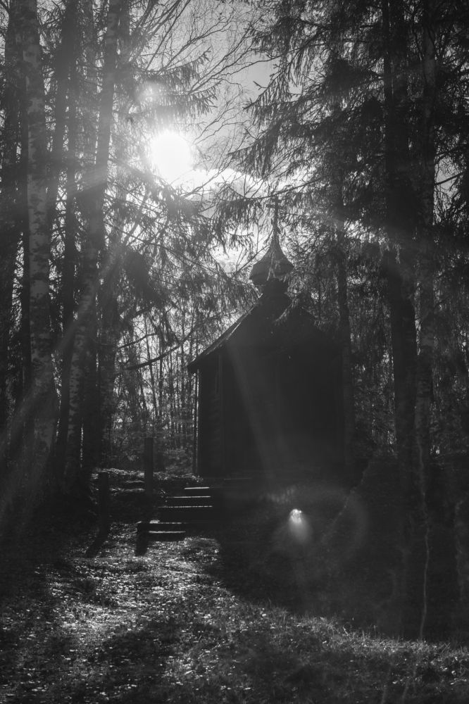 Photograph by Анастасия Веретенникова