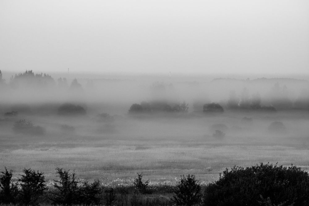 Photograph by Анастасия Гурова