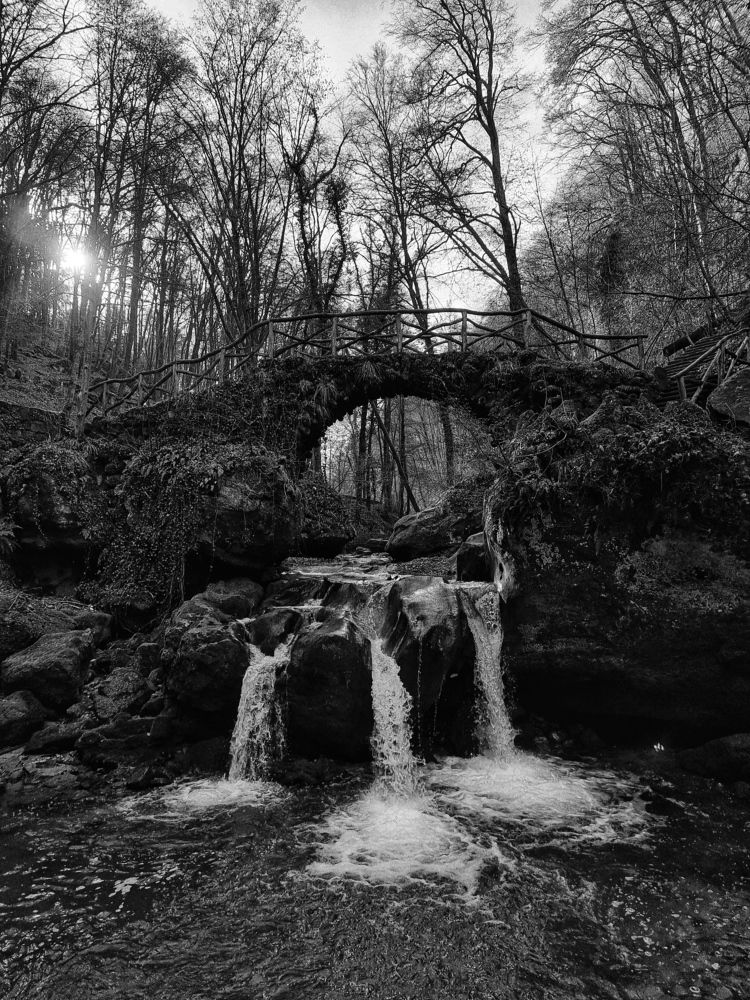 Photograph by Юлия Борт