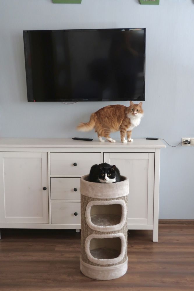 Photograph by Надежда Ткаченко