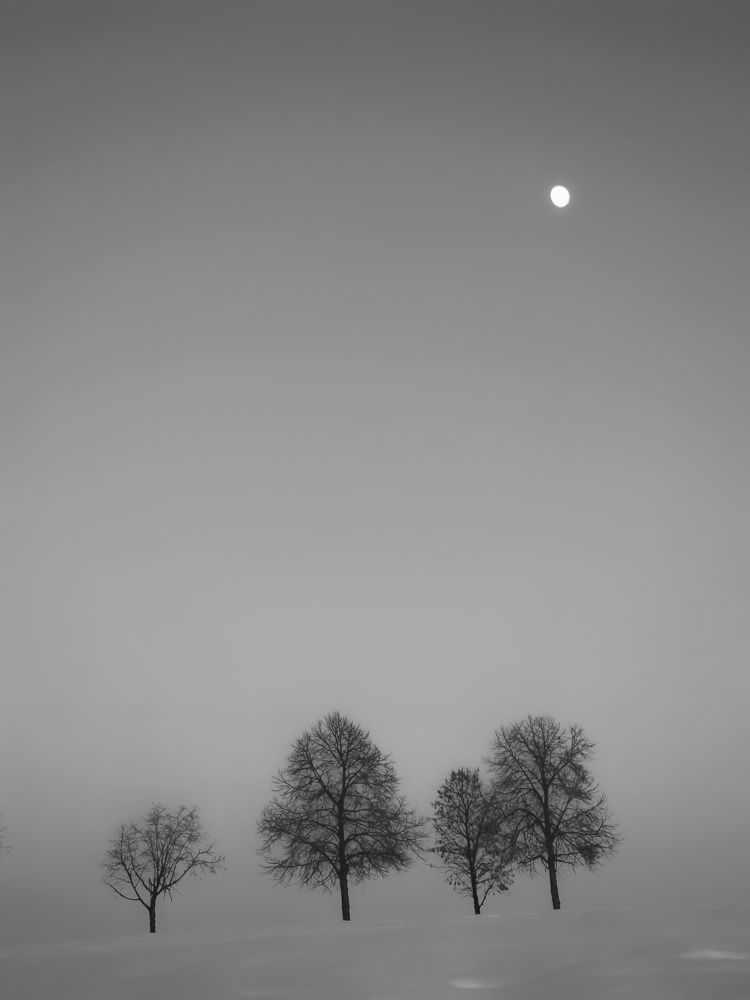 Фотография автора Alina Filimonova