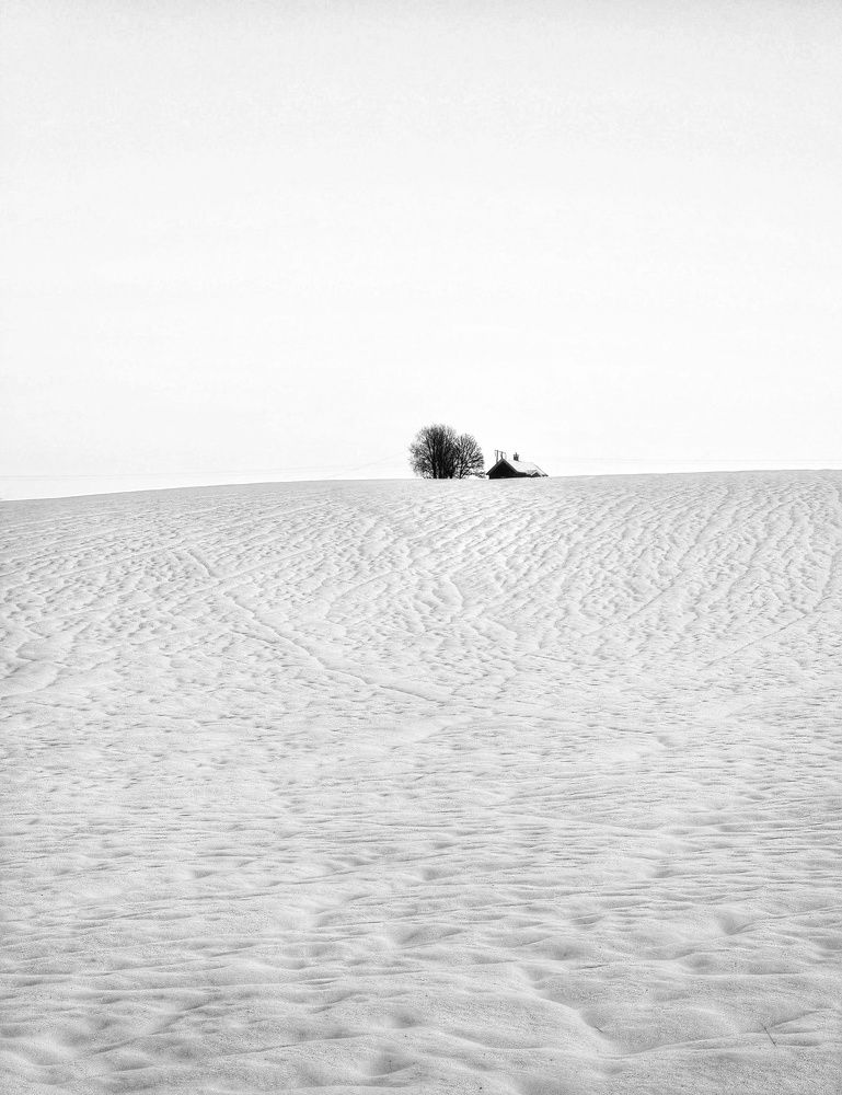 Фотография автора Alina Filimonova