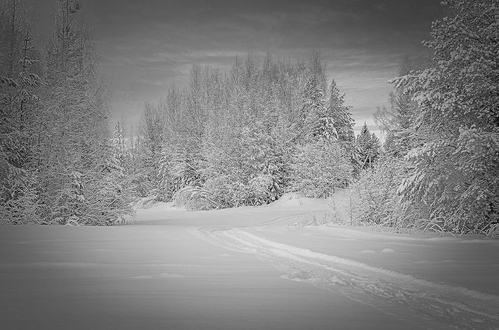 Photograph by Надежда Колеватова