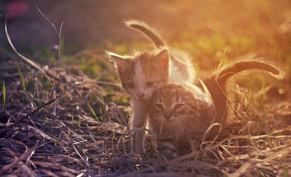 Photograph by Аркадова Елена