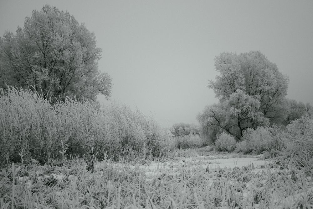 Photograph by Константин Белоногов