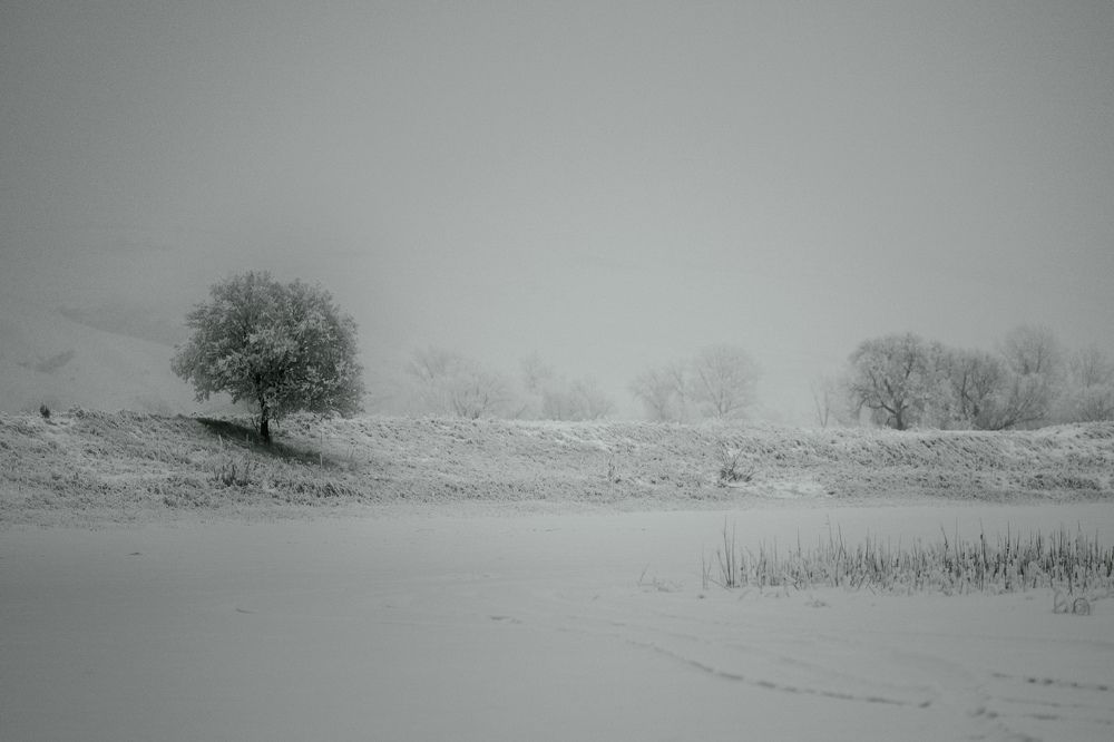 Photograph by Константин Белоногов