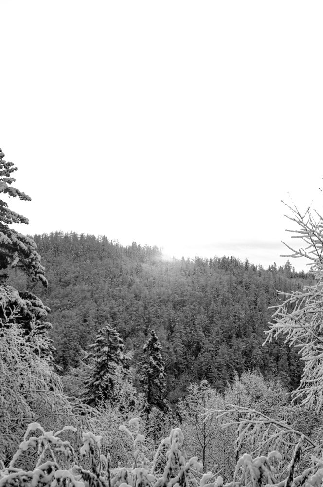 Photograph by Щебланов Виктор