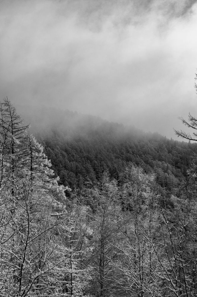 Photograph by Щебланов Виктор