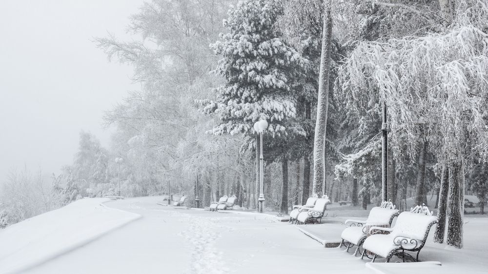 Photograph by Devender Mark