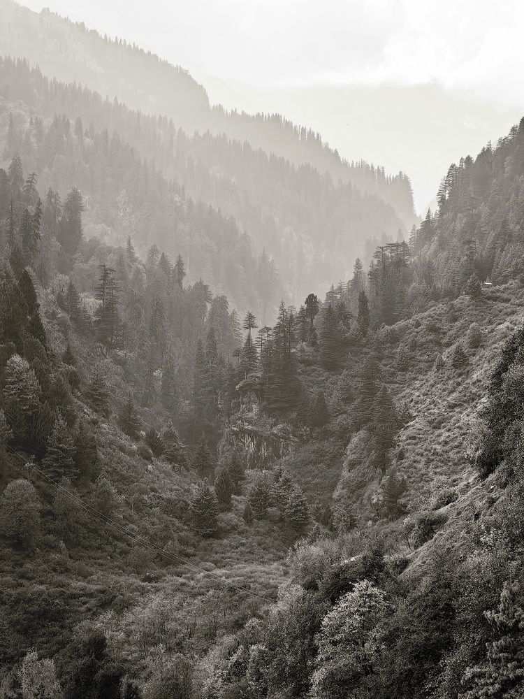 Photograph by Кристина Рыбина