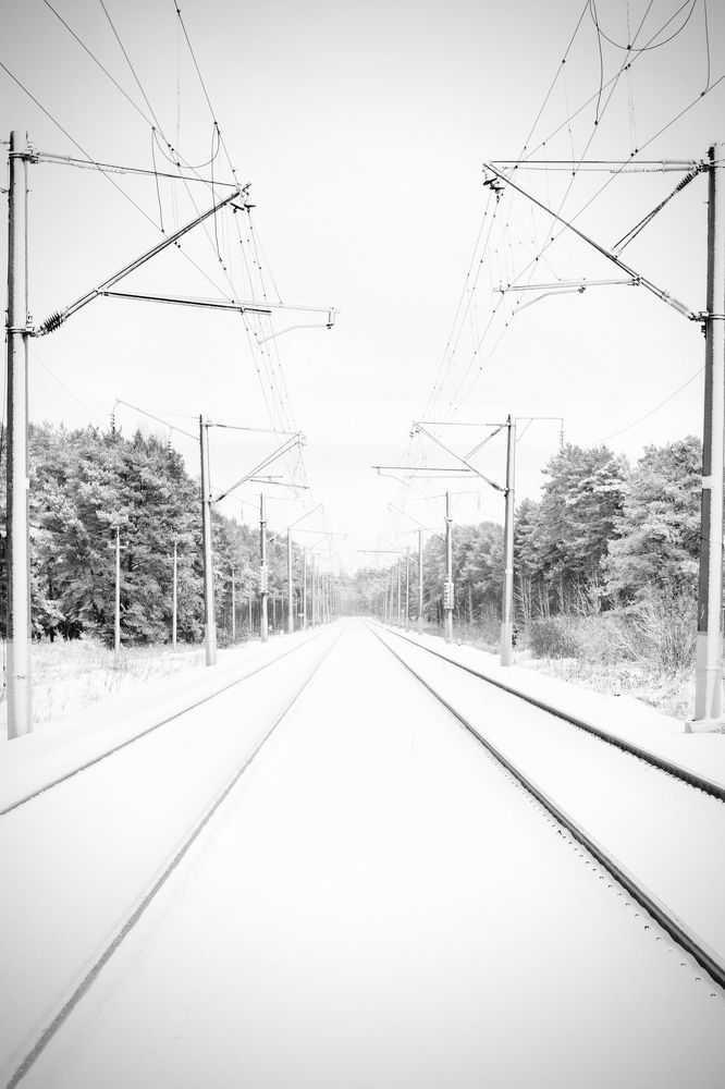 Photograph by Степоненкова Екатерина