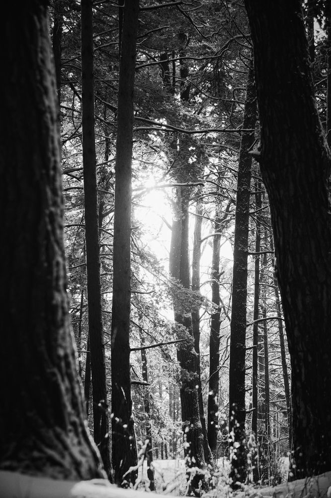 Photograph by Степоненкова Екатерина