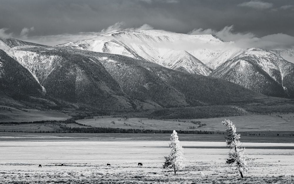 Photograph by Devender Mark