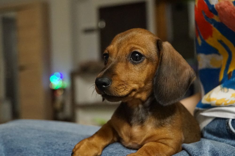 Photograph by сергей мишаков