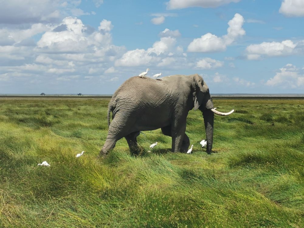 Photograph by Максимушкина Ольга