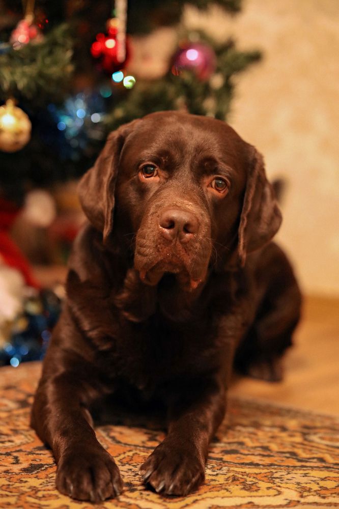 Photograph by Наталья Самсонова