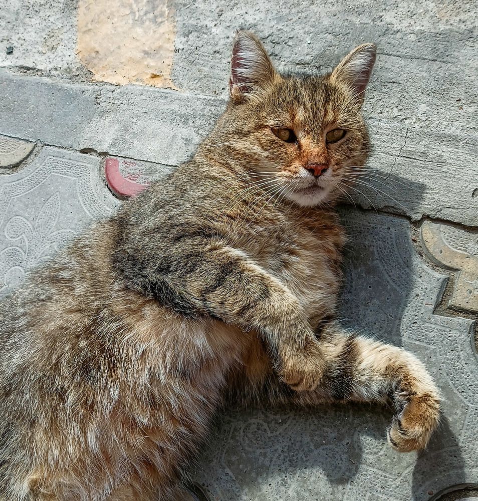 Photograph by Олег Башкуров