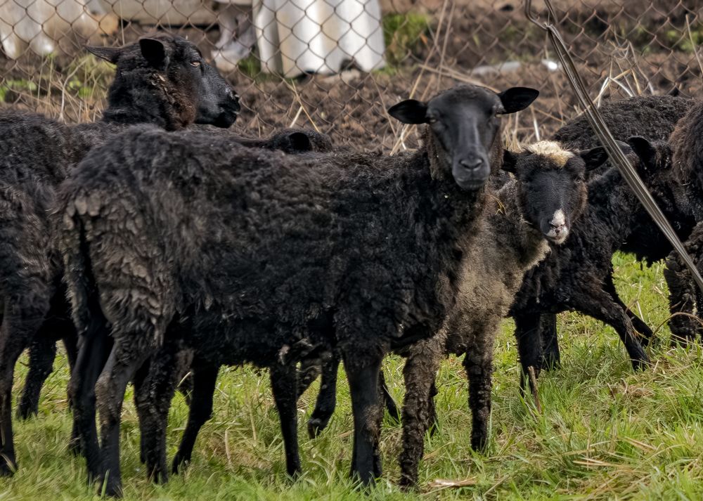 Photograph by Шутов Владимир